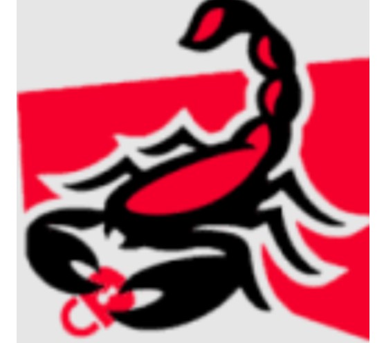 Scorpion Locksmith Houston